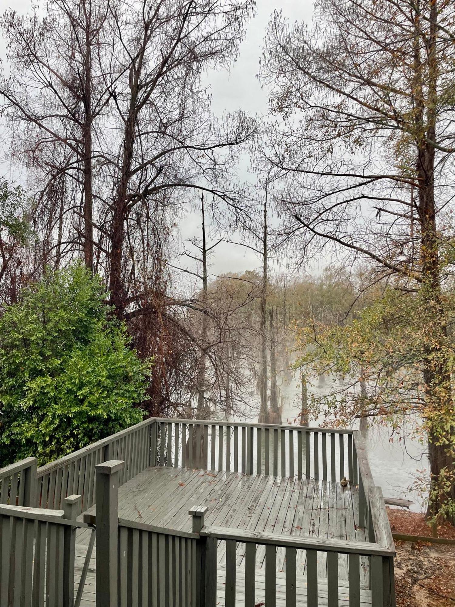 Bayou And Beyond Bayou View Монро Экстерьер фото